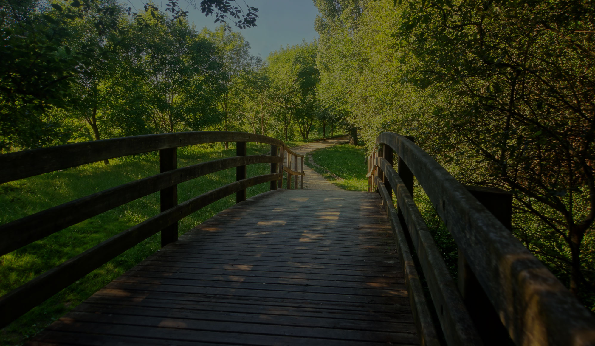 bridge